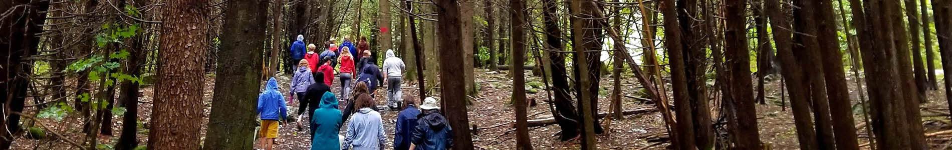 a group of children hike on a trail through a mature forest at the Frink Conservation Area